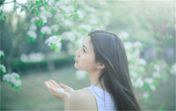 金湾验血查男女几周可以验(验血查男女结果图)